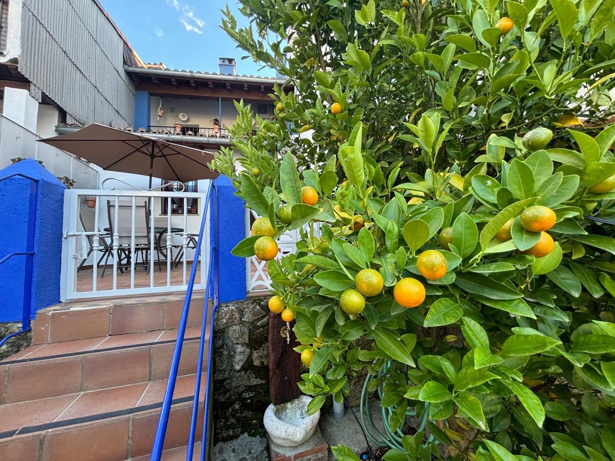 Alborada Apartamentos Rurales Hervas Exterior photo